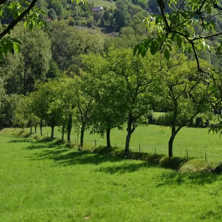 In Near Chateau Colombier * Muret-le-Château