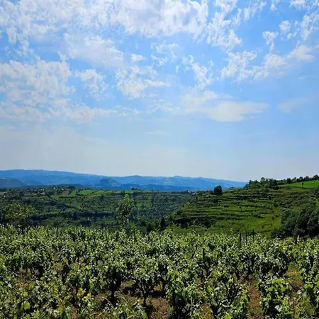 In Near Chateau Colombier * Muret-le-Château