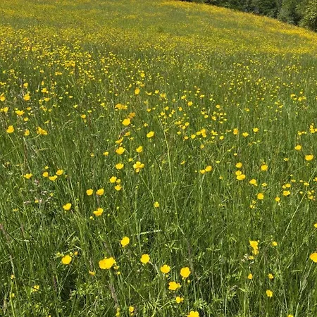 In Near Chateau Colombier בית נופש Muret-le-Château