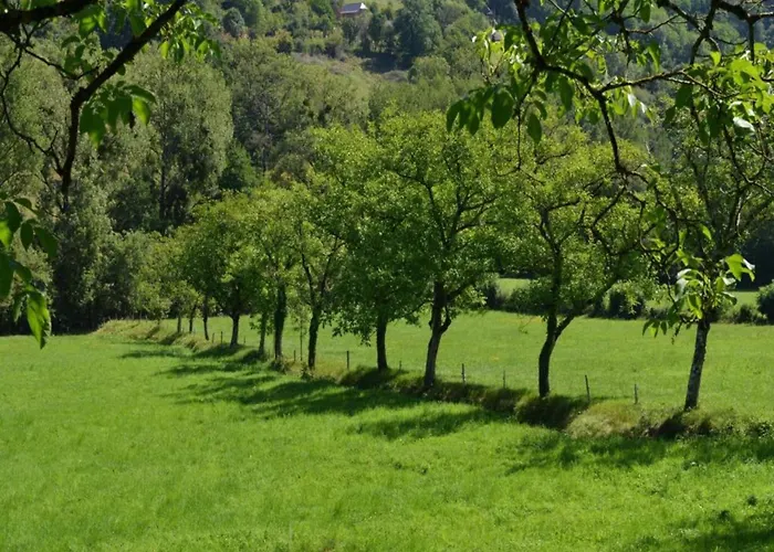 In Near Chateau Colombier * Мюрет-ле-Шато