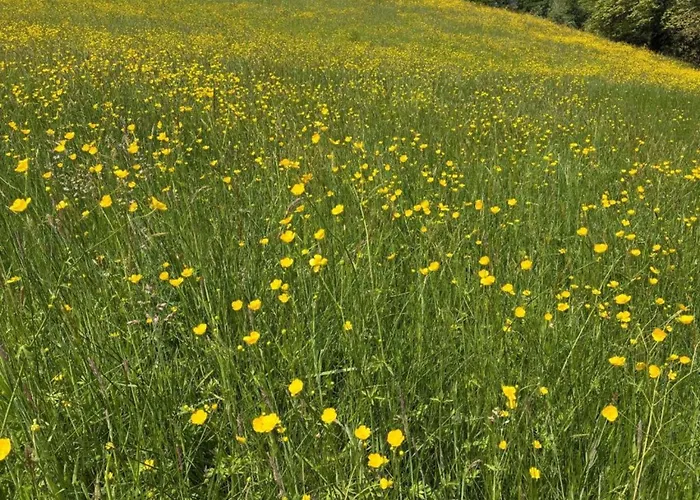 In Near Chateau Colombier בית נופש Muret-le-Château
